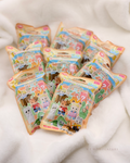 SYLVANIAN FAMILIES | 森林家族 嬰兒冒險系列盲袋